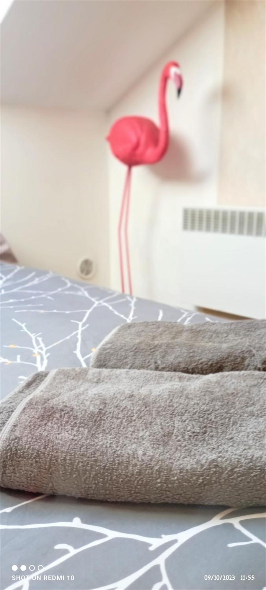 Studio Double 13 Avec Wifi Limoges Dış mekan fotoğraf